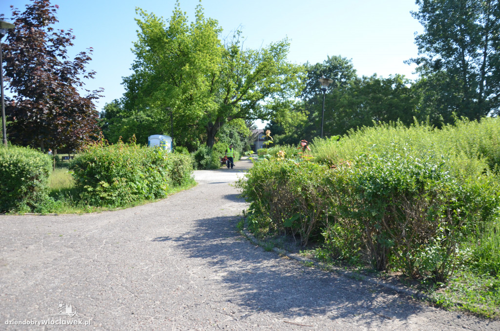 Park Łokietka znów bardzo zarośnięty