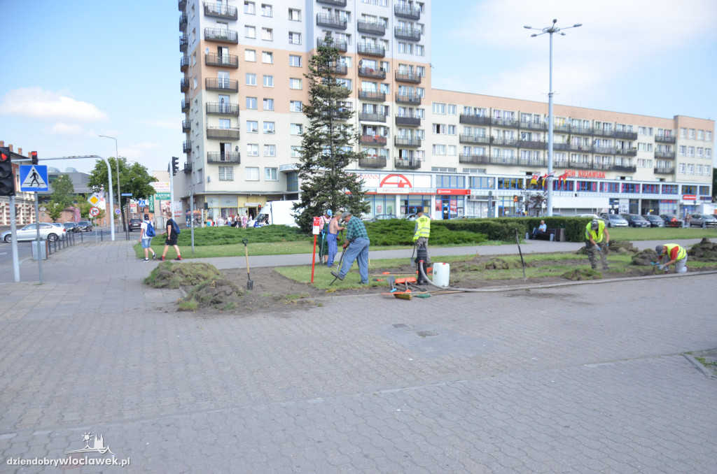 Trwa wymiana trawników na pl. Wolności