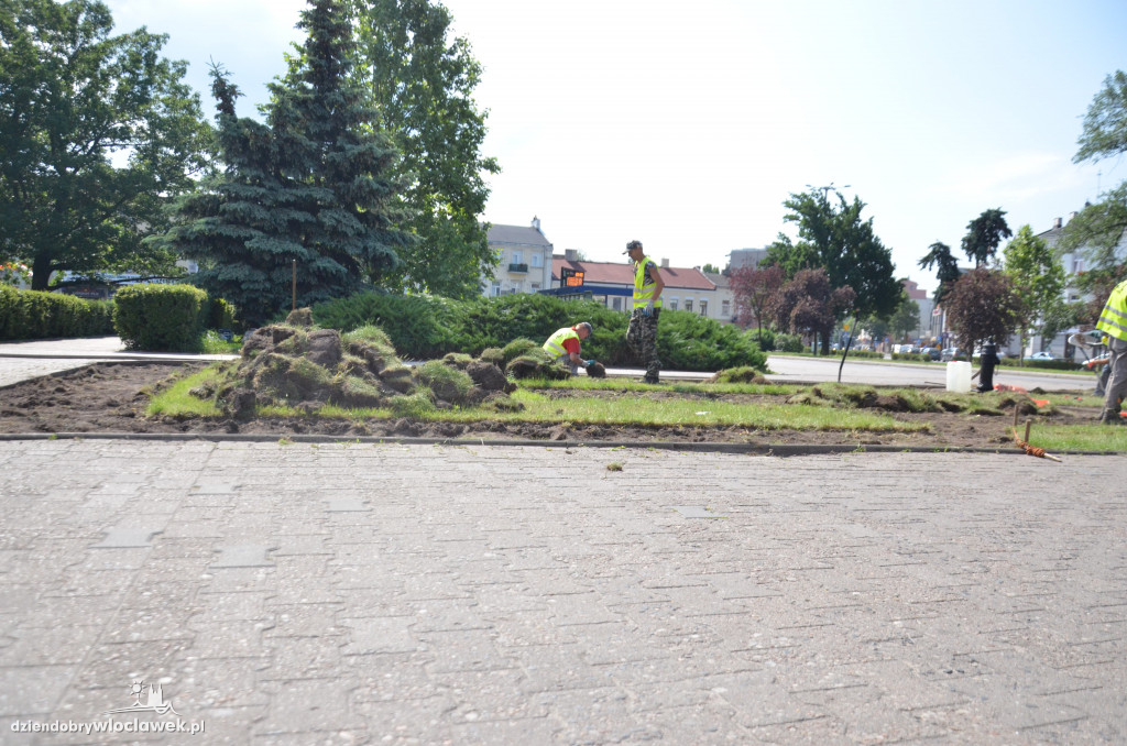 Trwa wymiana trawników na pl. Wolności