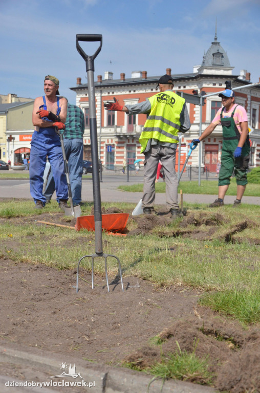 Trwa wymiana trawników na pl. Wolności