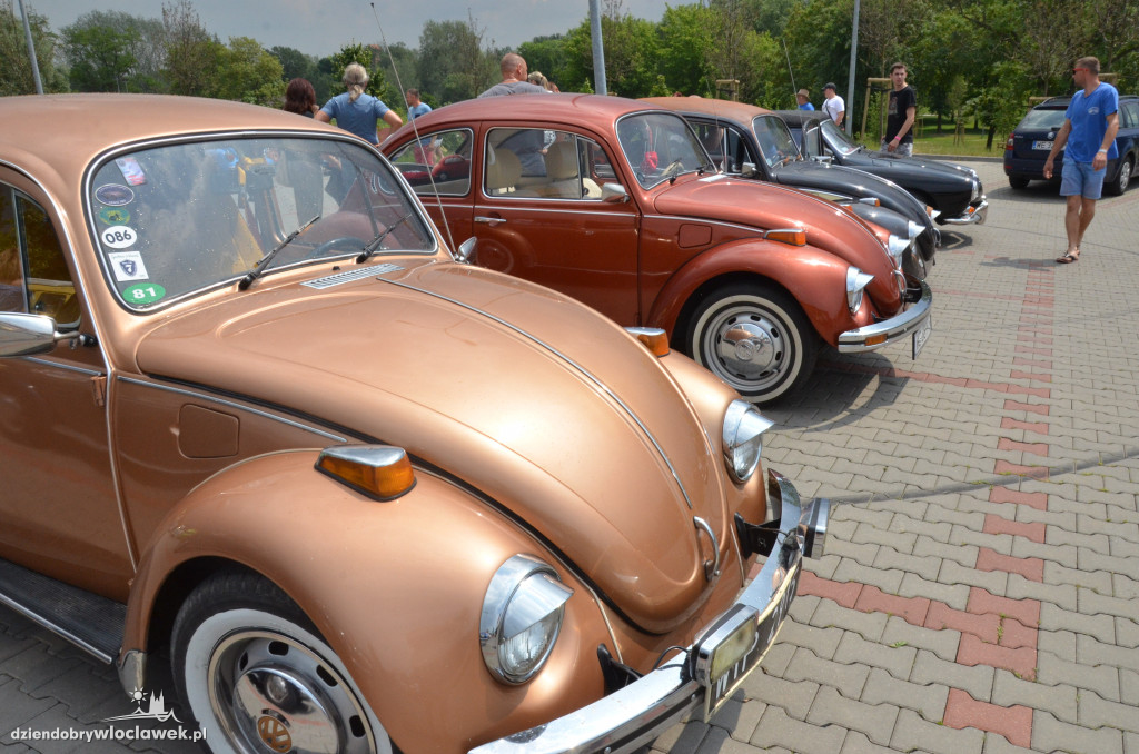 11. zlot garbusów i ogórków