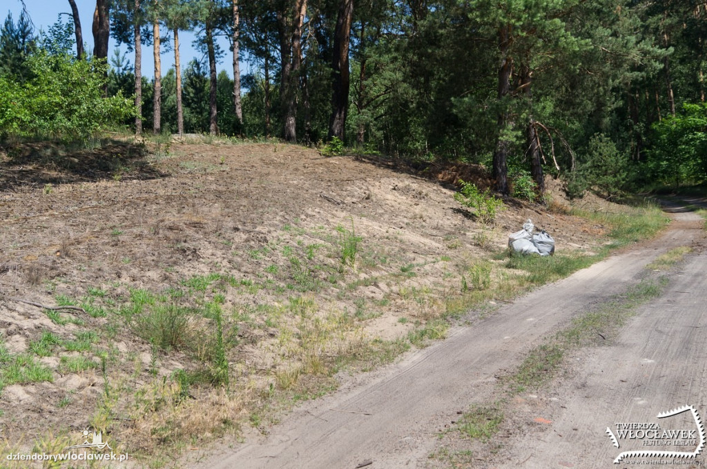 Posprzątały okolice schronów