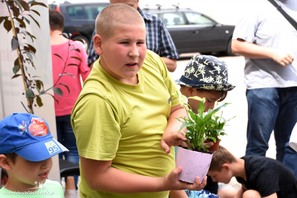 Ekowarsztaty wakacyjne w Śródmieściu