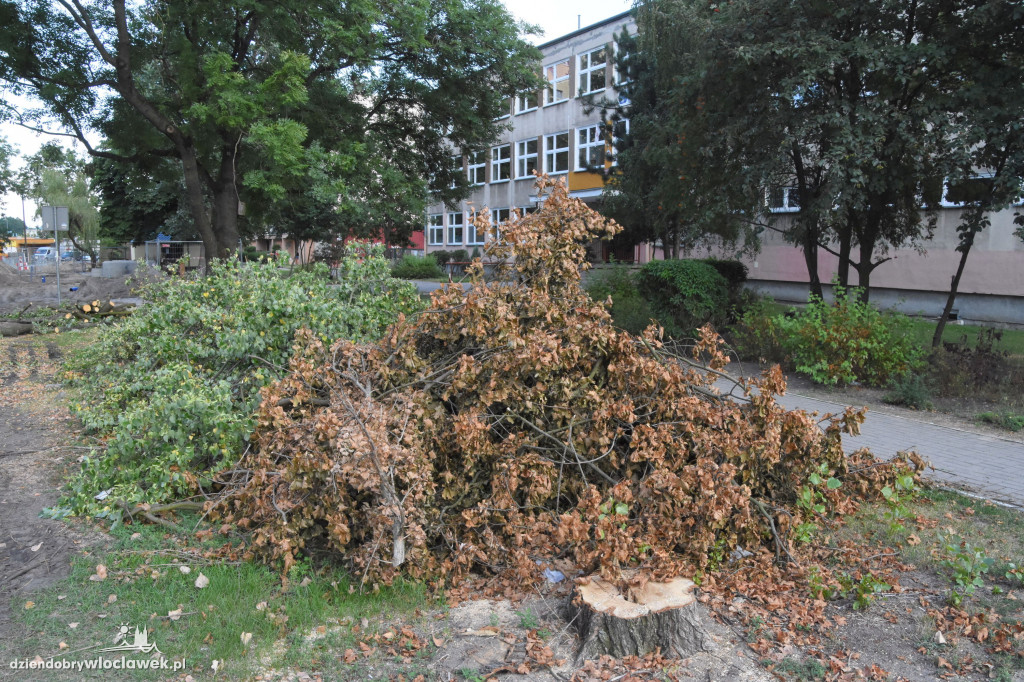 Budowa połączenia Żytniej