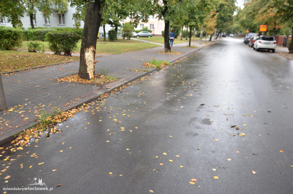 18-latek po pijaku narozrabiał