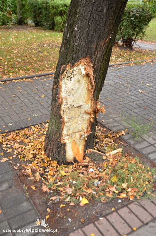 18-latek po pijaku narozrabiał