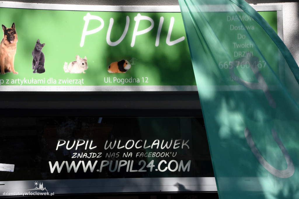 Drugie urodziny Pupila