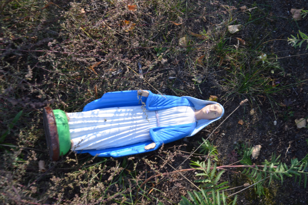 Figura Maryi w drzazgach