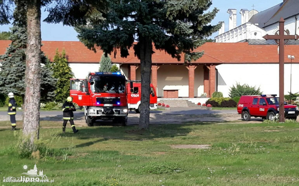 Mężczyzna skoczył z pomostu