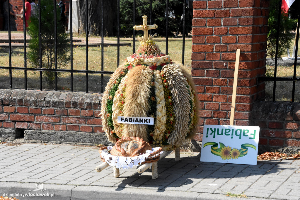 Uroczyste Dożynki w Fabiankach