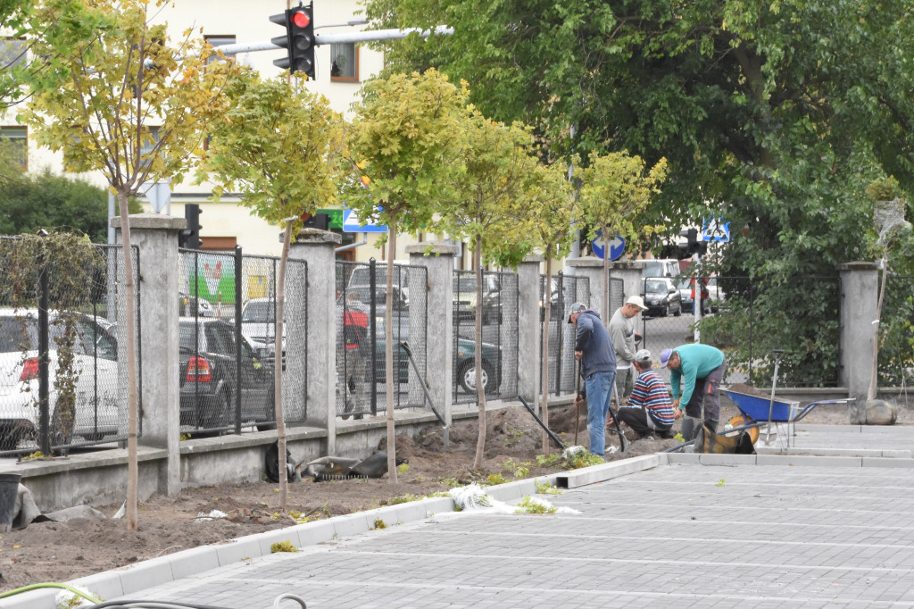 Nowe nasadzenia przy ul. Ogniowej