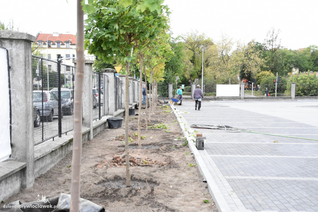 Nowe nasadzenia przy ul. Ogniowej
