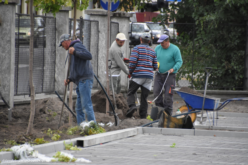 Nowe nasadzenia przy ul. Ogniowej