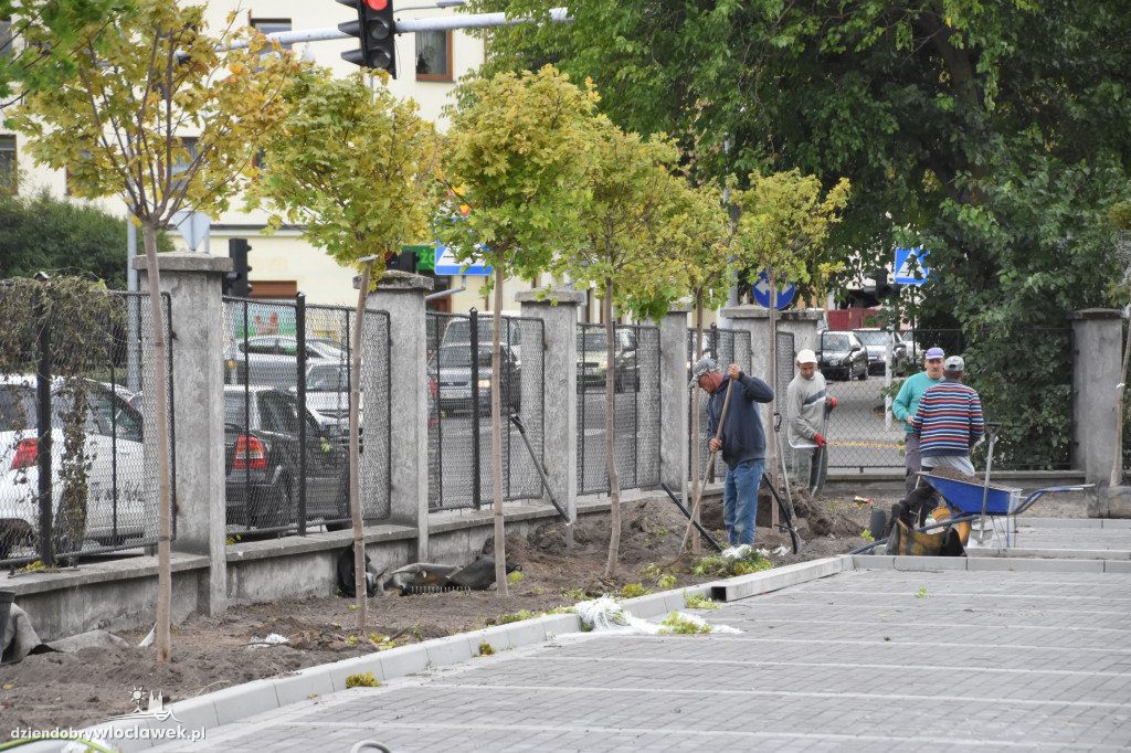 Nowe nasadzenia przy ul. Ogniowej