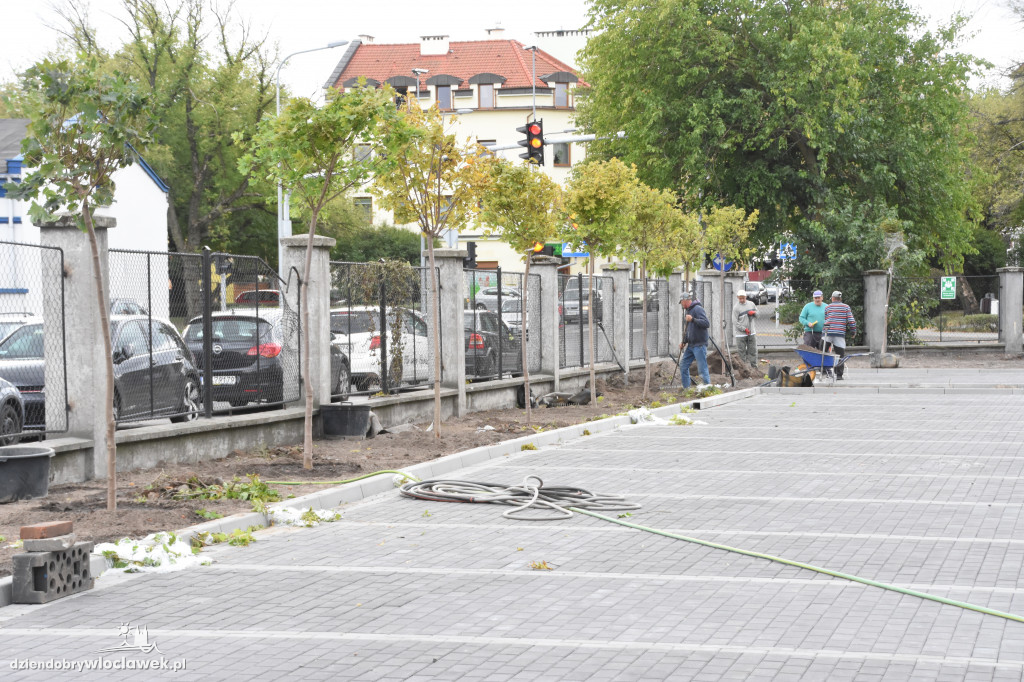 Nowe nasadzenia przy ul. Ogniowej