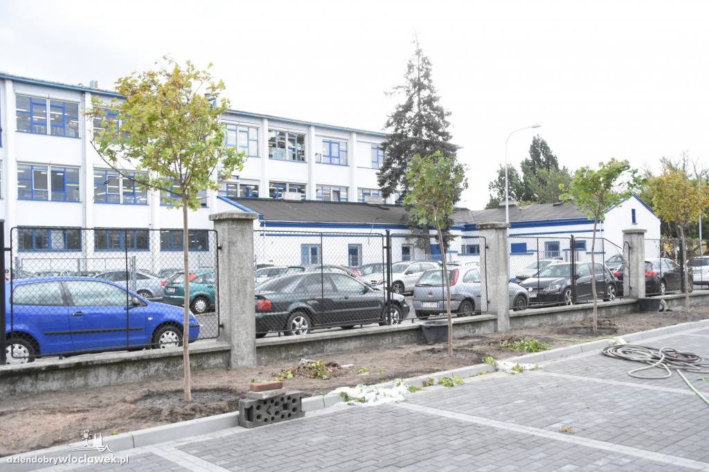 Nowe nasadzenia przy ul. Ogniowej