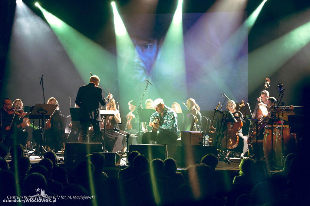 Palma Festiwal w Browarze B.