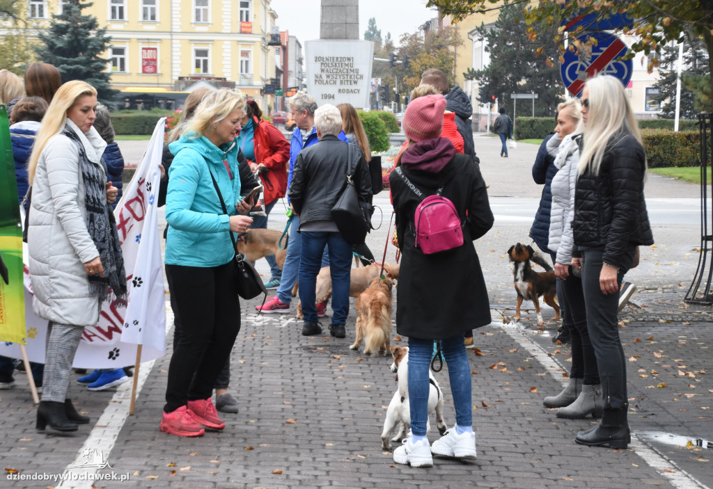 Przemarsz adoptowanych psów 3 maja
