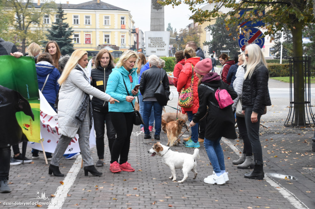 Przemarsz adoptowanych psów 3 maja