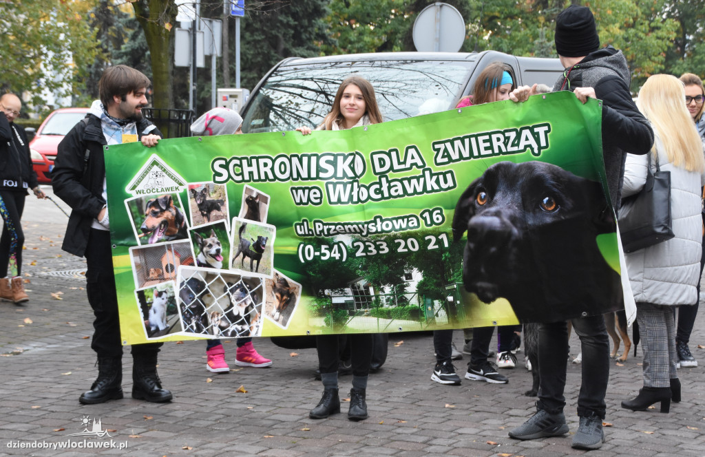 Przemarsz adoptowanych psów 3 maja