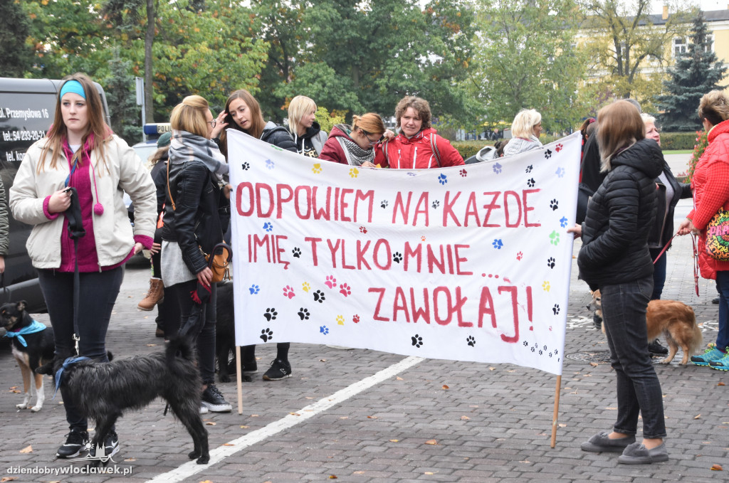 Przemarsz adoptowanych psów 3 maja