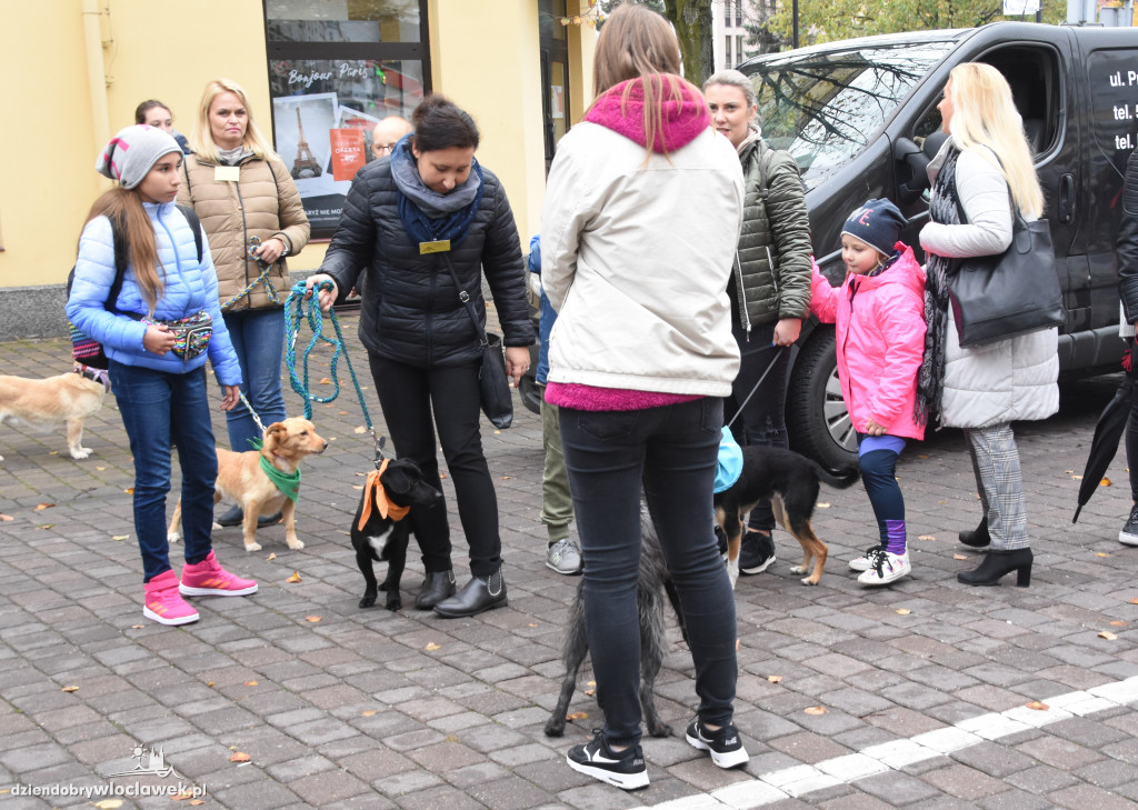 Przemarsz adoptowanych psów 3 maja