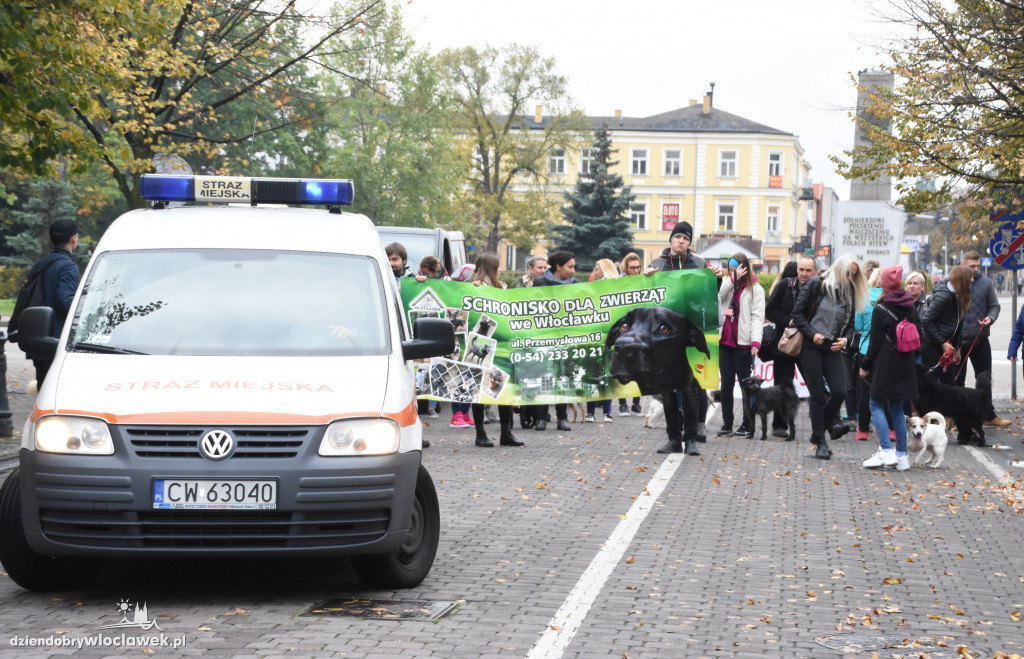 Przemarsz adoptowanych psów 3 maja
