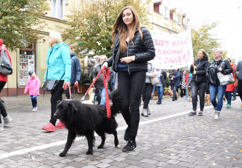 Przemarsz adoptowanych psów 3 maja