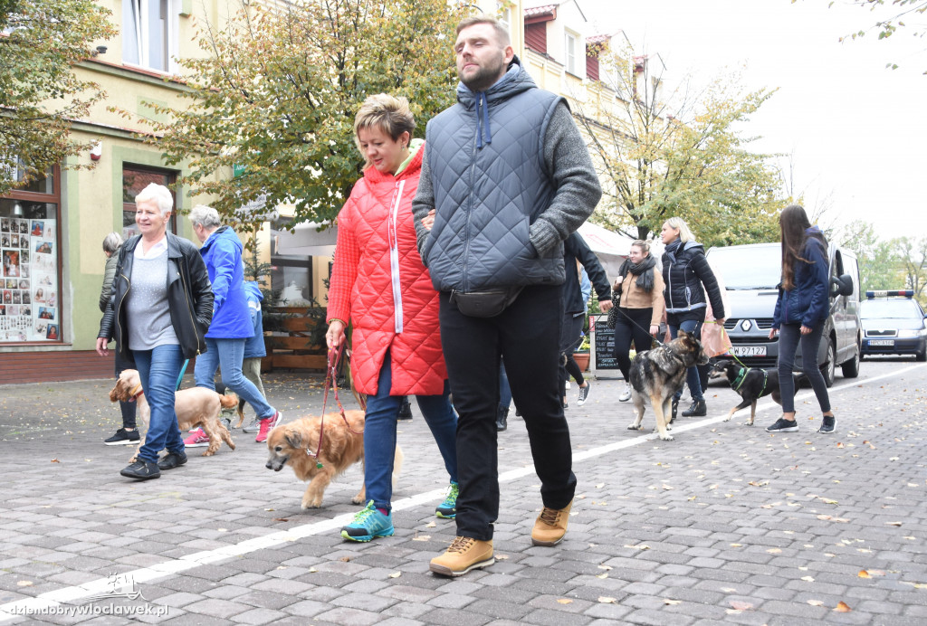 Przemarsz adoptowanych psów 3 maja