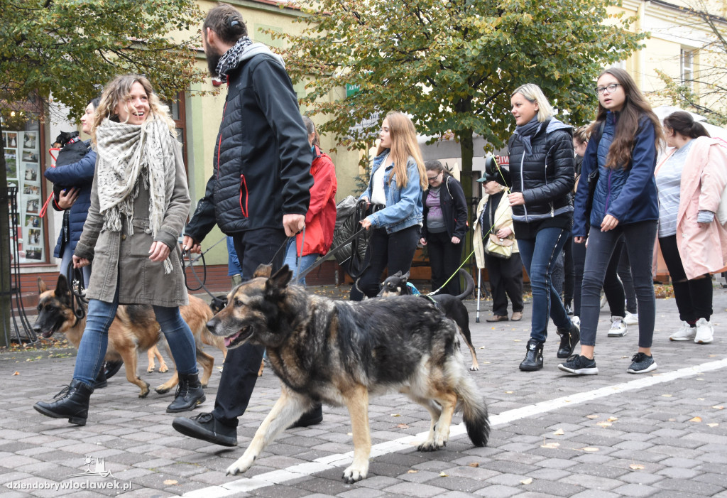 Przemarsz adoptowanych psów 3 maja