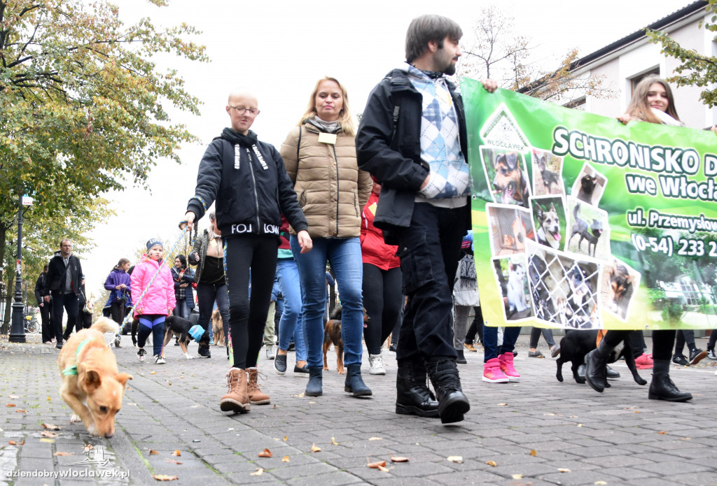 Przemarsz adoptowanych psów 3 maja