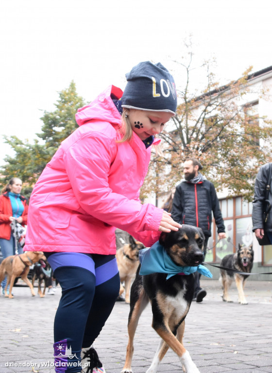 Przemarsz adoptowanych psów 3 maja