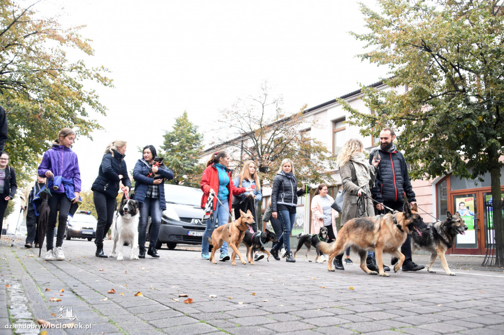 Przemarsz adoptowanych psów 3 maja