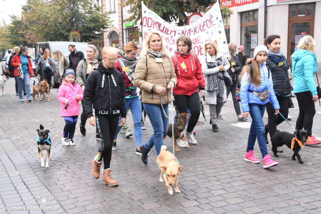 Przemarsz adoptowanych psów 3 maja