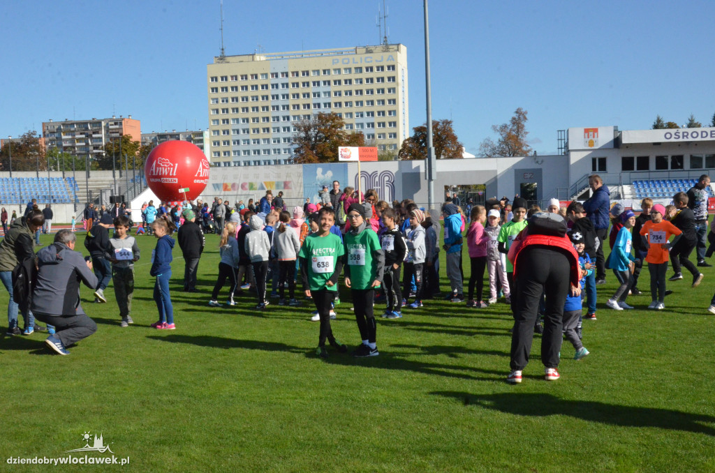 Szósty ANWIL Półmaraton Włocławek