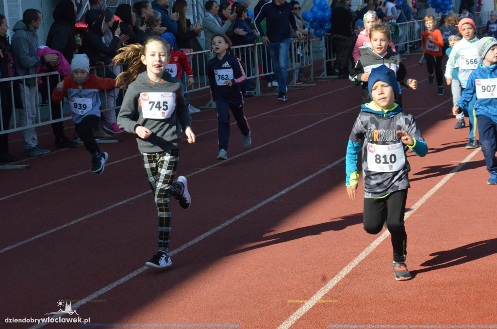 Szósty ANWIL Półmaraton Włocławek
