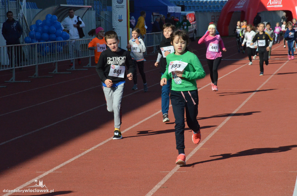 Szósty ANWIL Półmaraton Włocławek