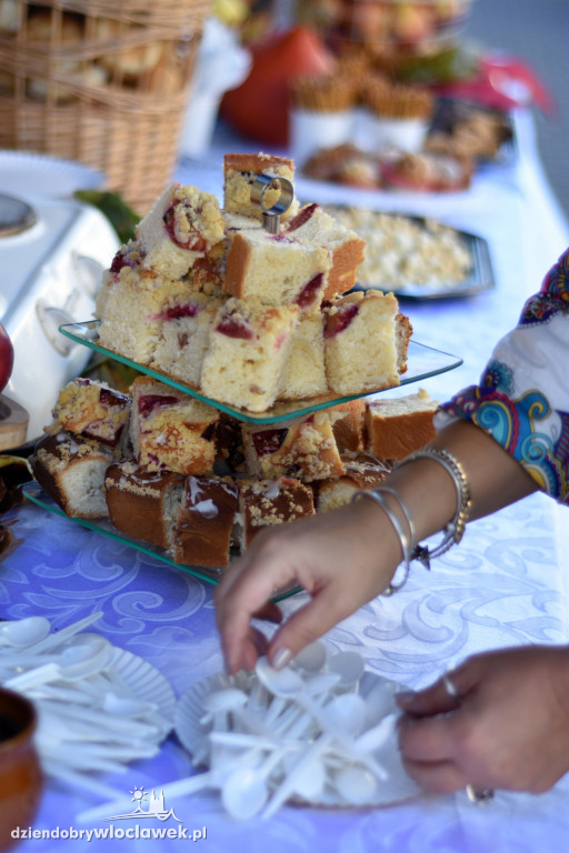 Jesienny piknik rodzinny w Śródmieściu