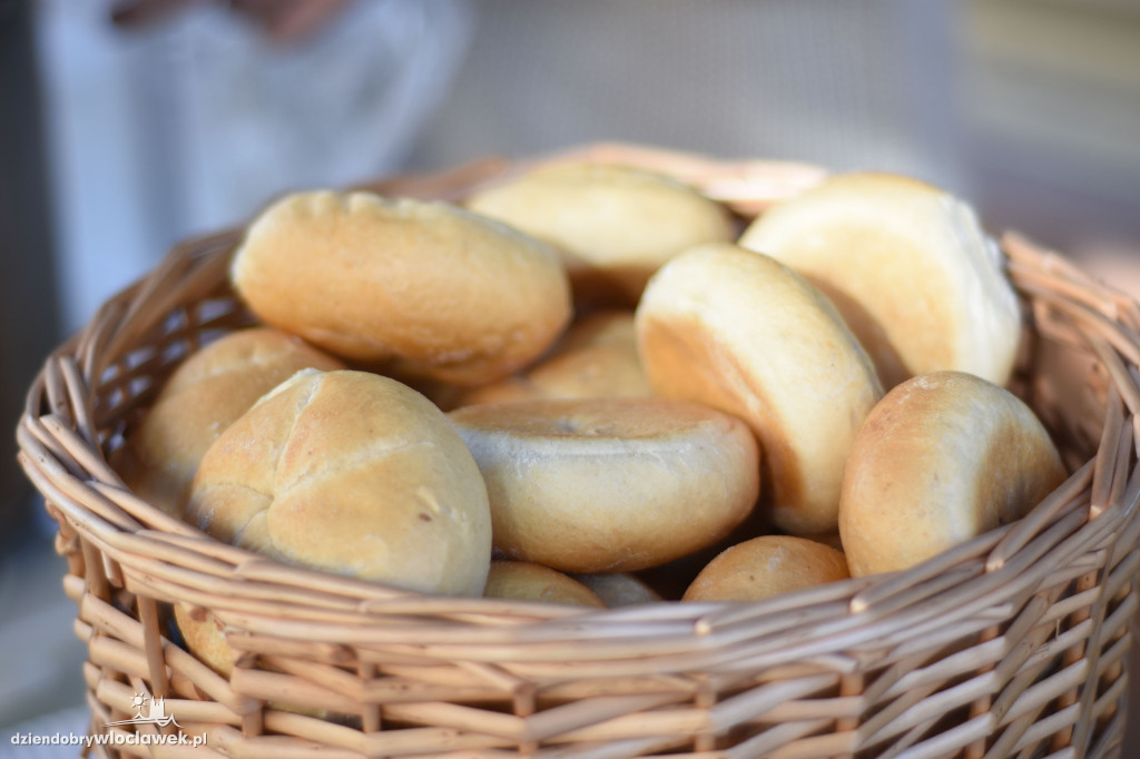 Jesienny piknik rodzinny w Śródmieściu