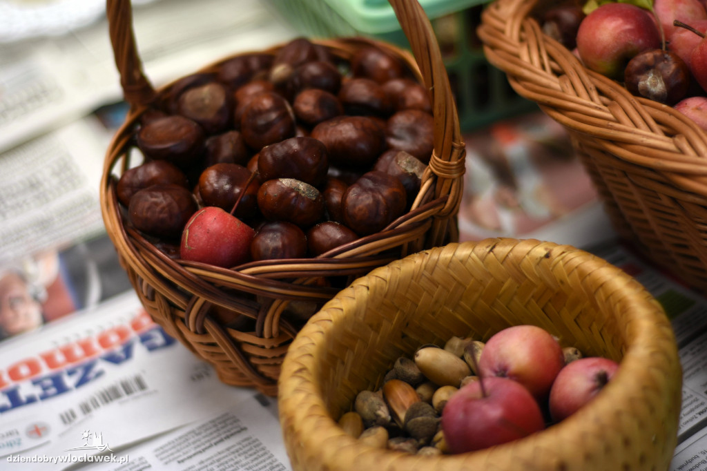 Jesienny piknik rodzinny w Śródmieściu