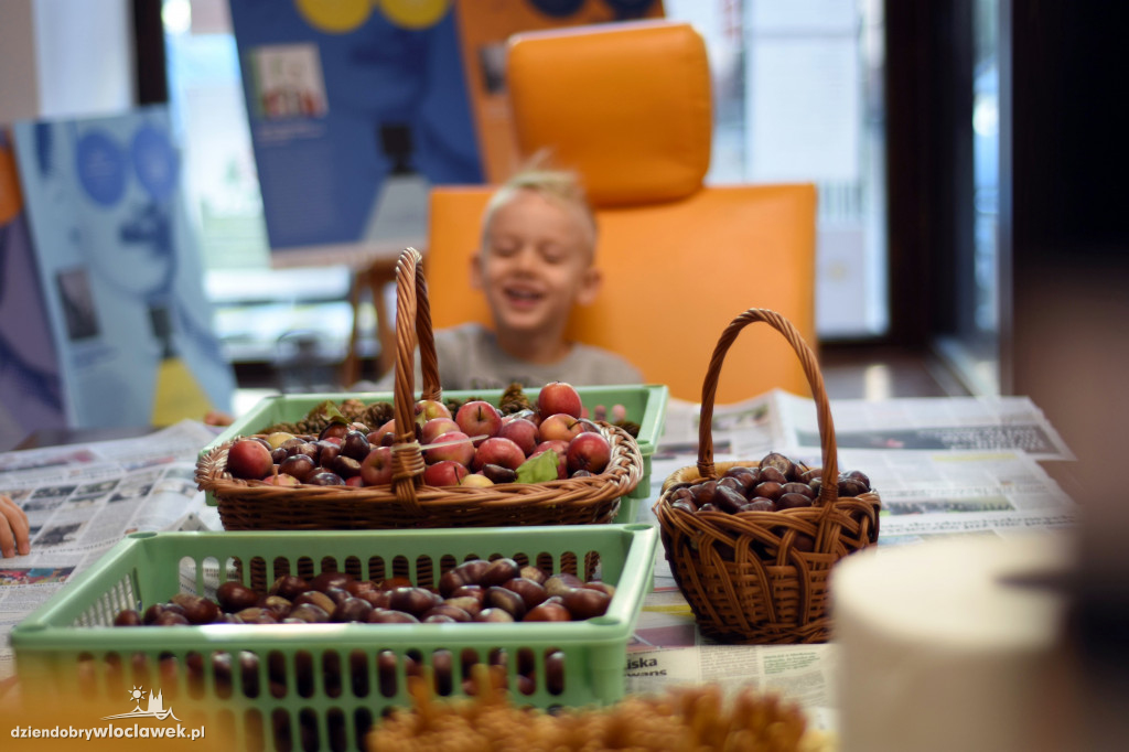 Jesienny piknik rodzinny w Śródmieściu