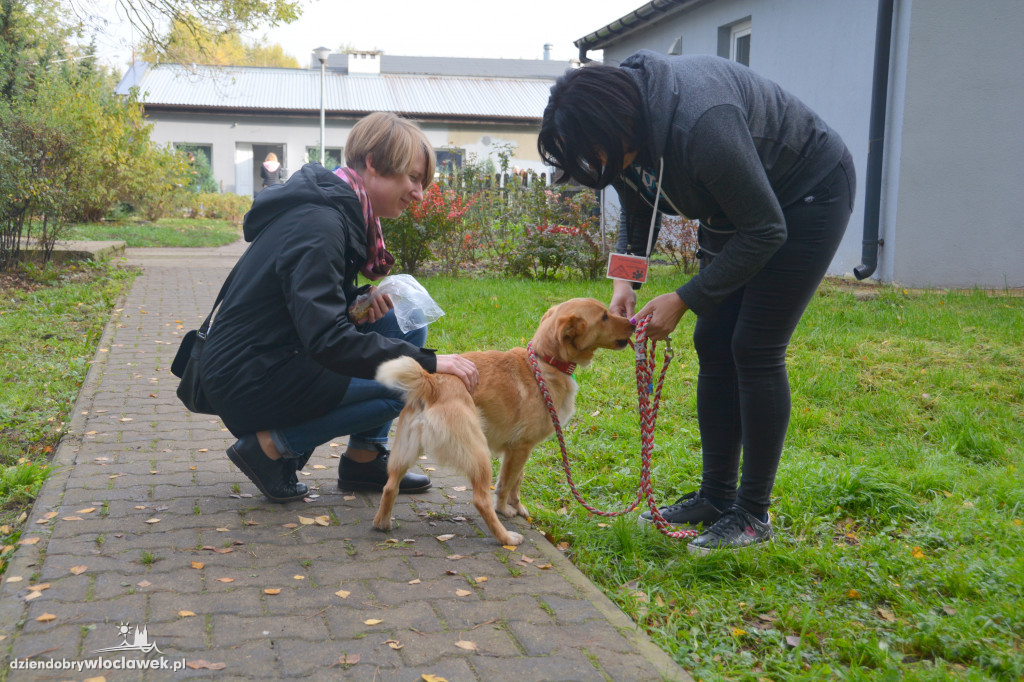 Bieg na 6 łap w schronisku