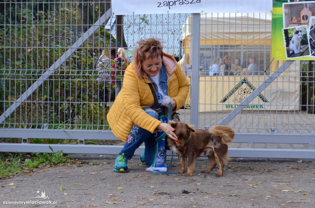 Bieg na 6 łap w schronisku