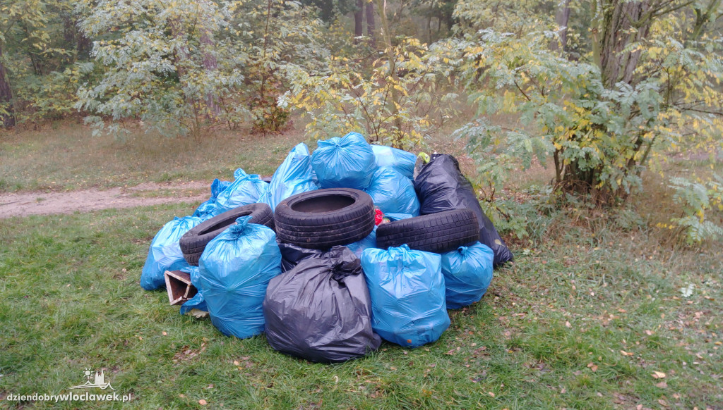 Wychowankowie MOW sprzątali las
