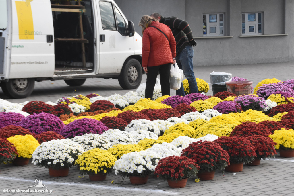 Przy Hali Mistrzów można kupić wszystko