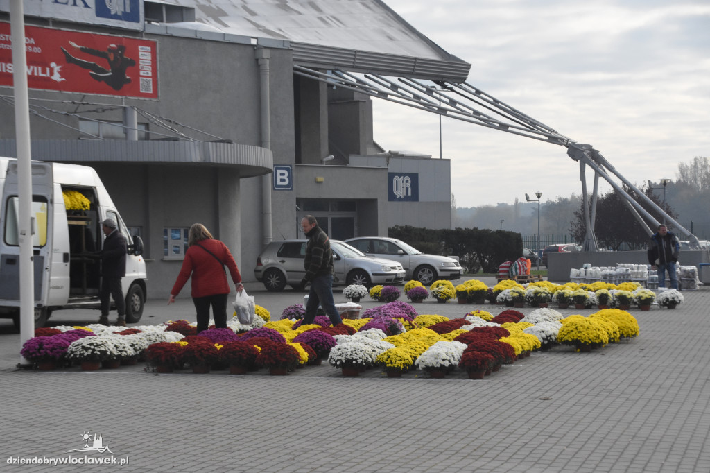 Przy Hali Mistrzów można kupić wszystko