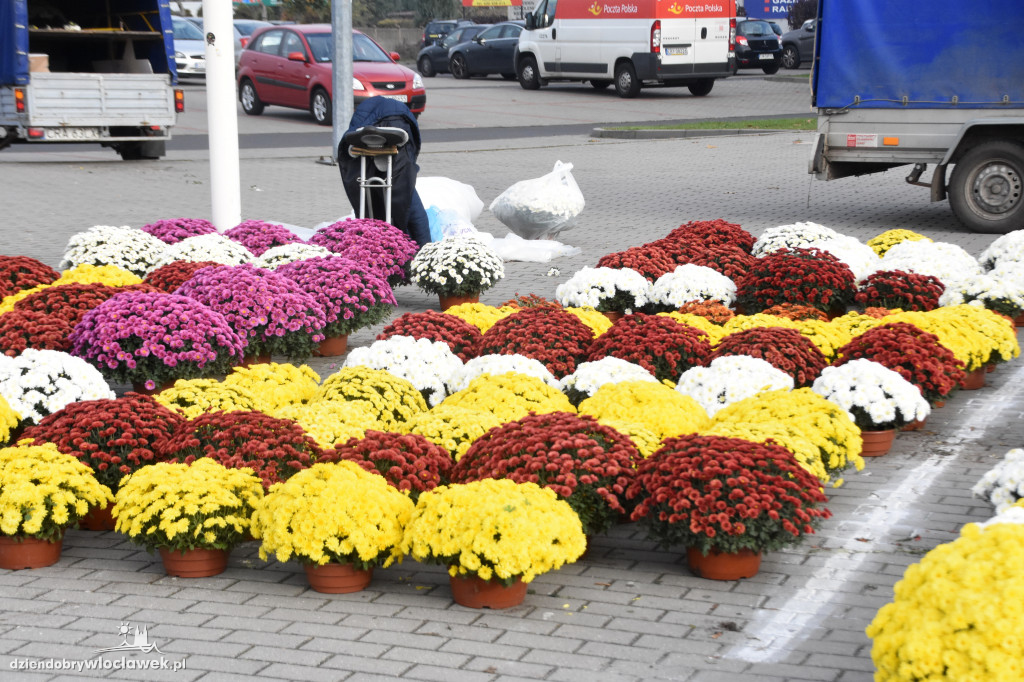 Przy Hali Mistrzów można kupić wszystko