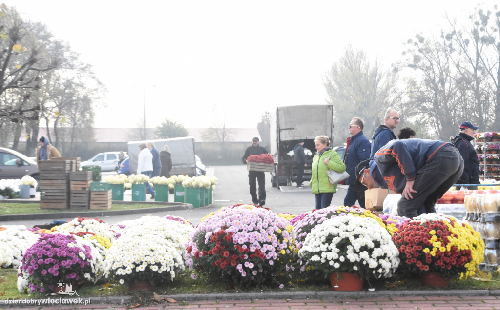 Przy Hali Mistrzów można kupić wszystko