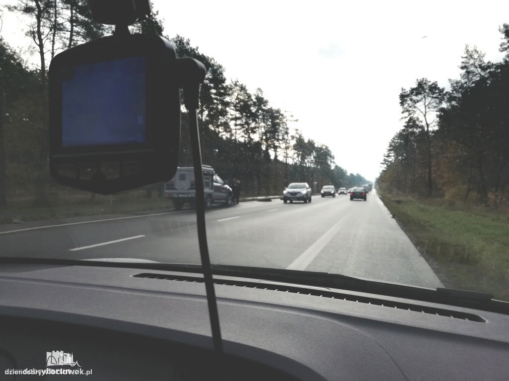 Stado dzików potrącone przez osobówkę