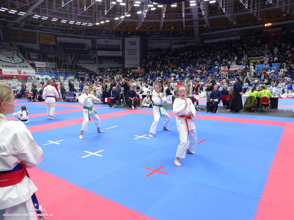 Karatecy z kolejnymi medalami